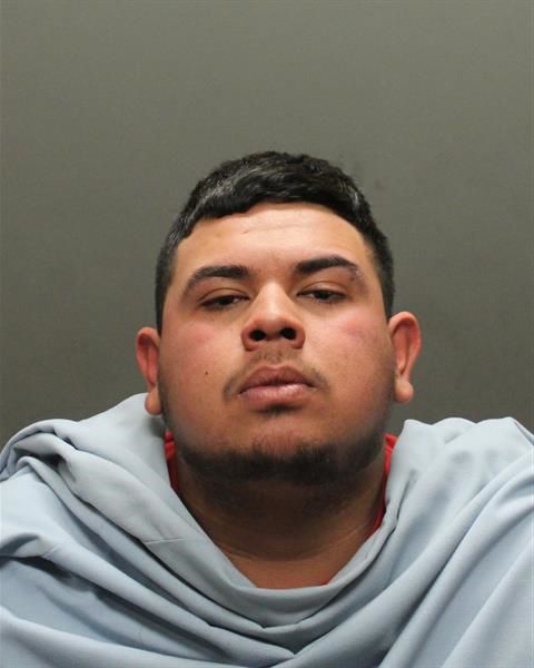 Mug shots 2018